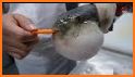 Puffer Fish Eating Carrot related image