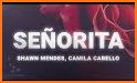 Shawn Mendes - Senorita related image