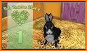 Pet World Premium - animal shelter – care of them related image