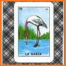 Lotería Mexicana - Baraja related image