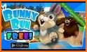 Bunny Run - Bunny Rabbit Game related image