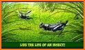 Spider Life - Animal Simulator related image