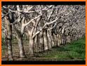 Yuba Sutter Chamber related image