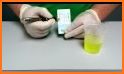 Home Based Urine Test Dip.io related image