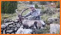 IBEX 2019 related image