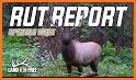 Wisconsin Rut Report related image