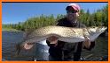 Pike Outdoors related image