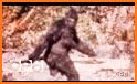 Sneaky Sasquatche Walkthrough- sneaky sasquatch related image