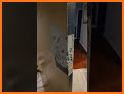 Fittora Fill: Gap Lock related image