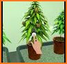 Weed Farm - Grow Hempire & Bud related image