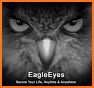 EagleEyes(Lite) related image