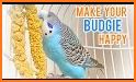 Alen AxP Budgie Community related image