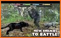 Angry Black Wild Panther Simulator 2019 related image