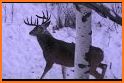 Ultimate Deer Hunting 3D related image