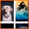 TapSlides, Slideshow maker, Photo slideshow App related image