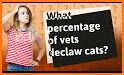 American Association of Feline Practitioners related image