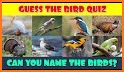 Bird Guide + Quiz Game PRO related image