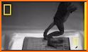 Jumping Frog related image