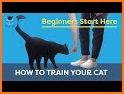 Cat Trainer related image