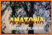 CalcSoap Amazonia English related image