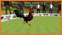 Farm Rooster Fighting: Angry Chicks Ring Fighter related image