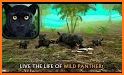 Wild Panther Simulator – Animal Family Life Game related image