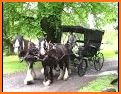 Horse Cart Farm Transport related image