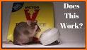 Pied Piper Rat and Mice Deterrent related image