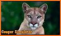 Cougar Simulator: Big Cat Family Game related image