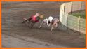 Real Dog Racing Tournament related image