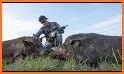 Pig Hunting Shooting Game related image