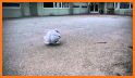 Robot Ball related image