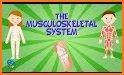 Our Skeletal System related image