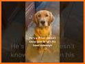 Golden Retriever Simulator related image