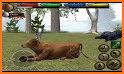 Cow Life - Animal Simulator related image