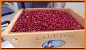 Wisconsin Cranberry Growers related image