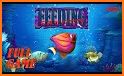 Fish Feeding Frenzy related image