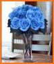 Beautiful Blue Rose. related image