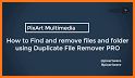 Duplicate File Remover Pro 2020 related image