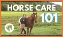 Horse Care and Riding related image