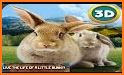 wild pet rabbit animal simulator bunny games related image