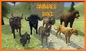 Animal race related image