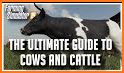 Tips Farming Simulator 2019 related image