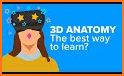 Human Anatomy Learning - 3D related image