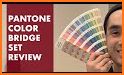 Color theory & Pantone Premium related image