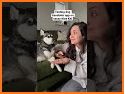 Cat And Dog Translator—Pet translator, Sounds related image