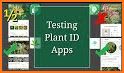 Plant Story - Plant Identifier & Gardening related image