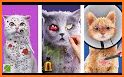 Cat ASMR: Salon Makeover related image