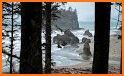 Olympic National Park - USA related image