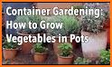 Container Gardening related image